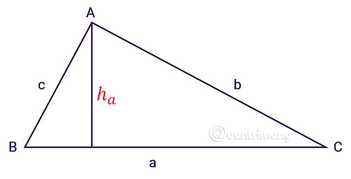 Cách tính diện tích tam giác: từ thường đến đều