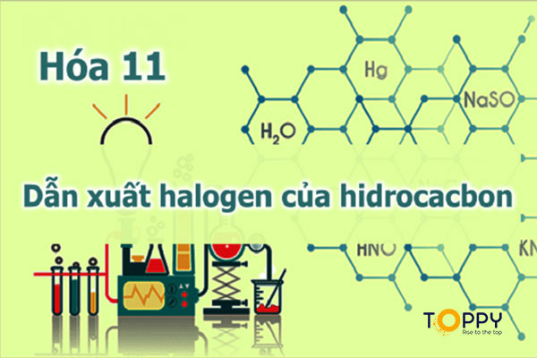 Dẫn xuất halogen của hidrocacbon – Học tốt hóa 11 cùng Toppy