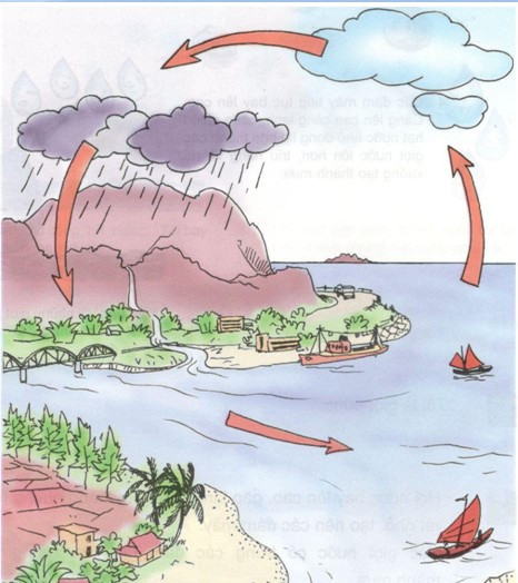 Sơ đồ vòng tuần hoàn của nước trong tự nhiên – Bài 23 Khoa học lớp 4 trang 48