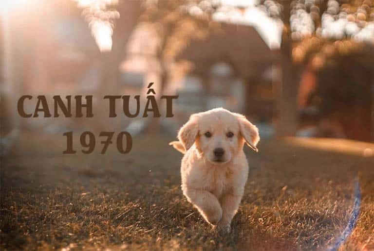 Những Mẫu Tranh Phong Thủy Hợp Tuổi Canh Tuất 1970 Giúp Rước Lộc Vào Nhà