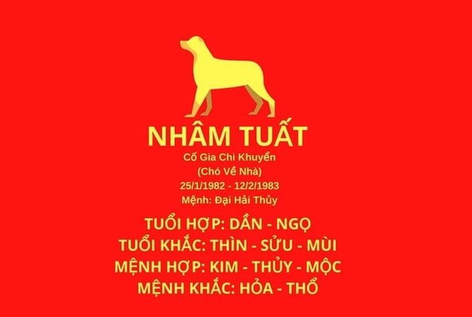 Xem tử vi tuổi Nhâm Tuất 1982 nữ mạng năm 2024